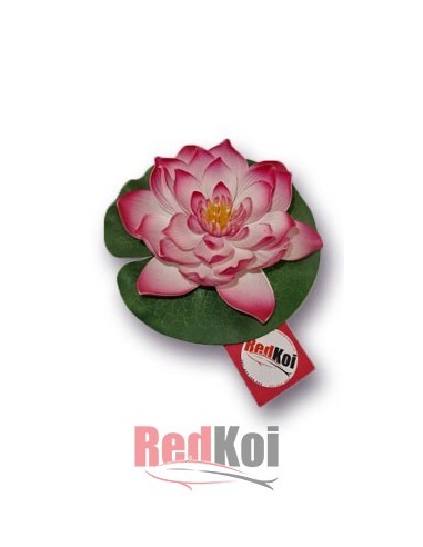 Flor de loto
